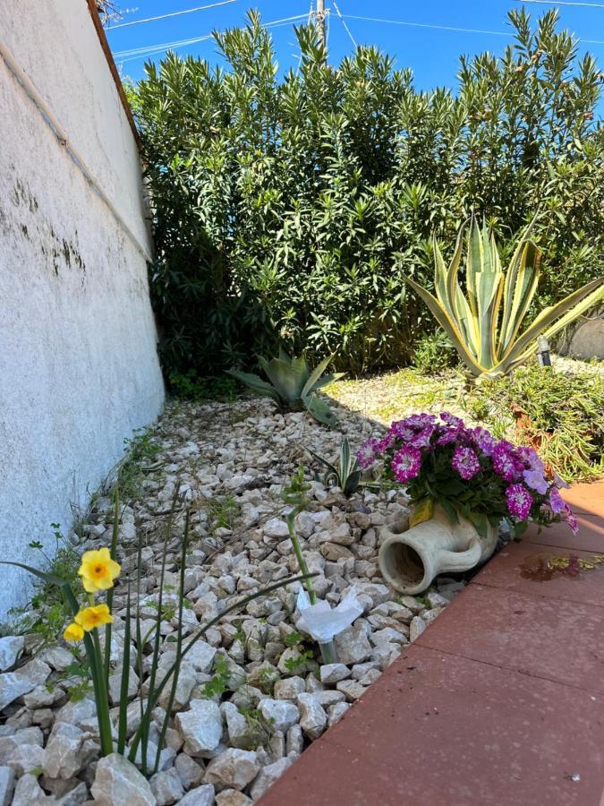 Villa Fiorenza - 100 Mt Dal Mare Castellammare del Golfo Luaran gambar